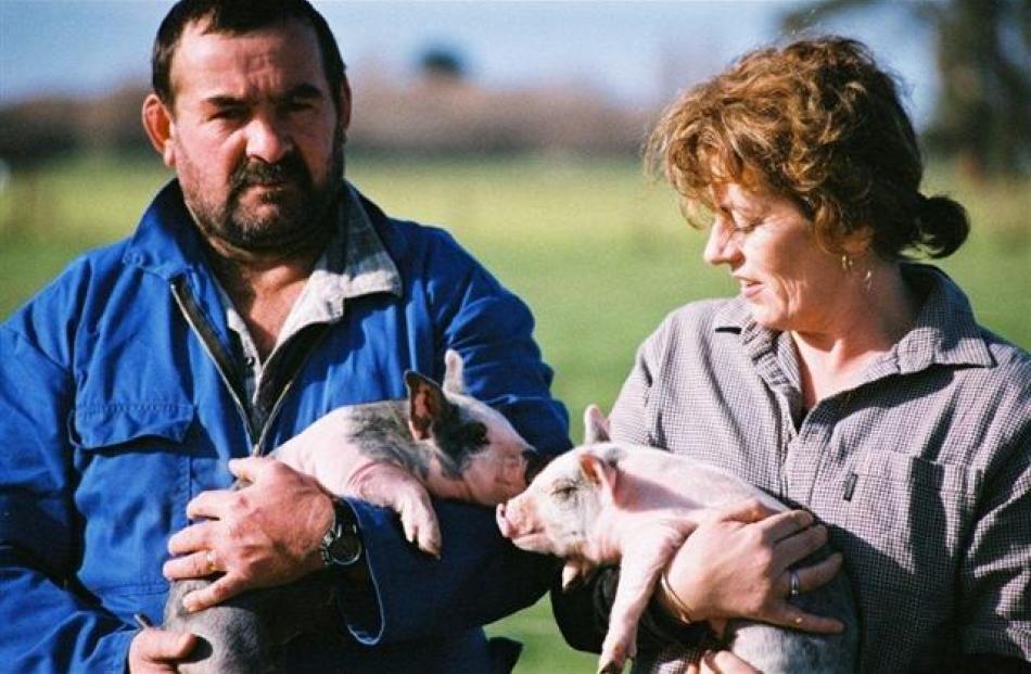 Gus and Sue Morton on the farm with Hampshire piglets.