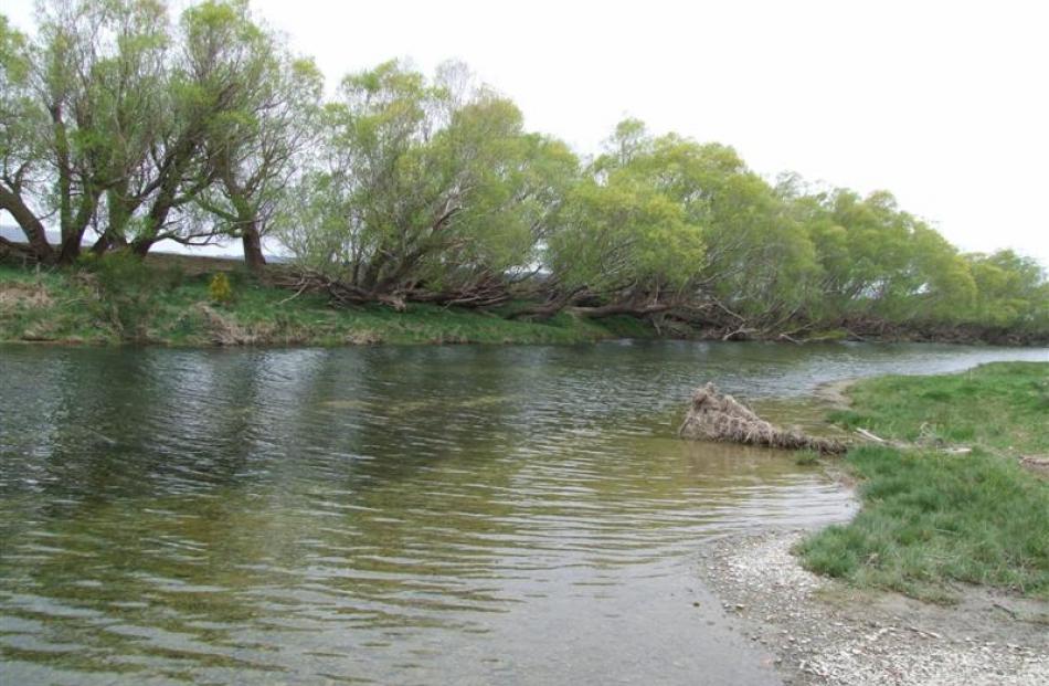 The Shag River at  Mill Rd, near Palmerston. Photo by Bill Campbell.