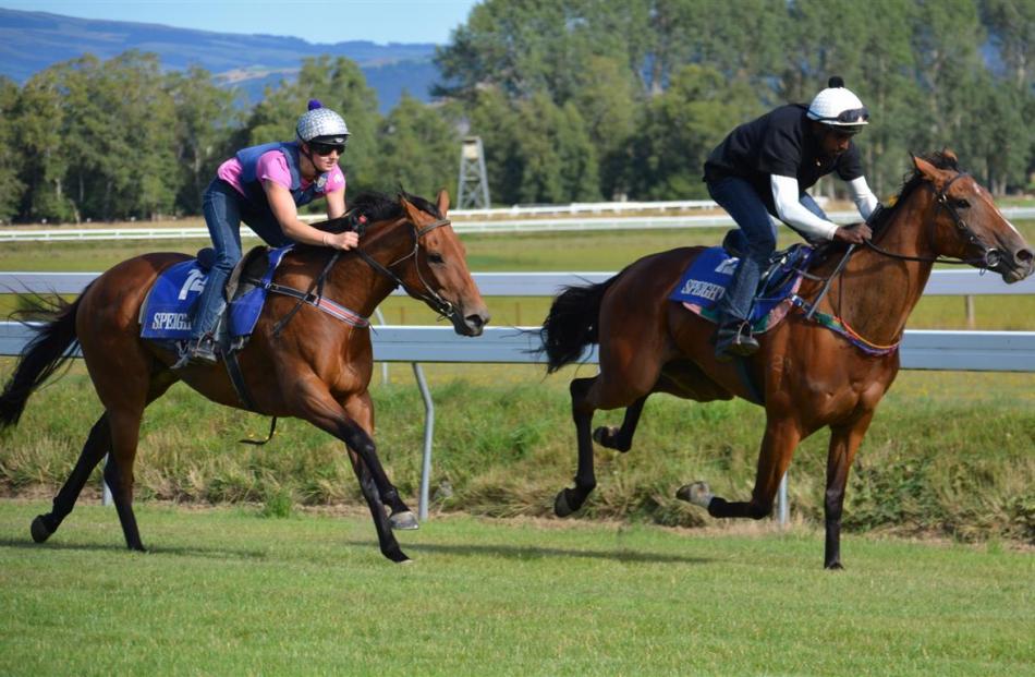 Hessonite, ridden by Shankar Muniandy, beats home stablemate Isla in the third jumpout at...