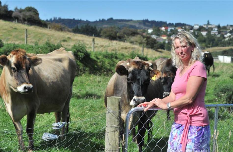 Home cheesemaker Marja van Loon with two of her cows at her Leith Valley property. Photos by...