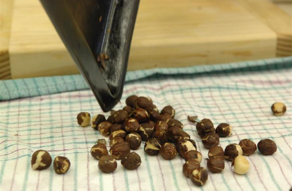 how_to__roast_and_skin_hazelnuts_4903368624.jpg