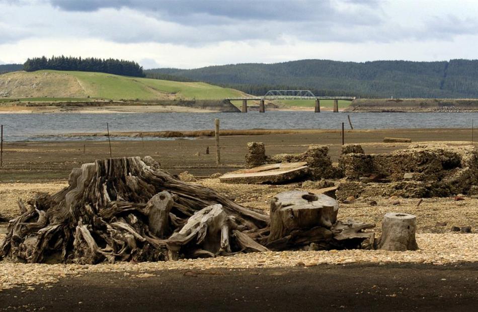 In 2005, a tree stump and a crumbling hearth, part of the old Waipori township, lie uncovered by...
