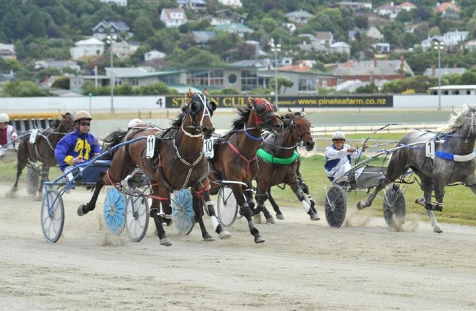 Jaccka Emberz (11, nearest camera), seen here in winning form at Forbury Park in January, is the...