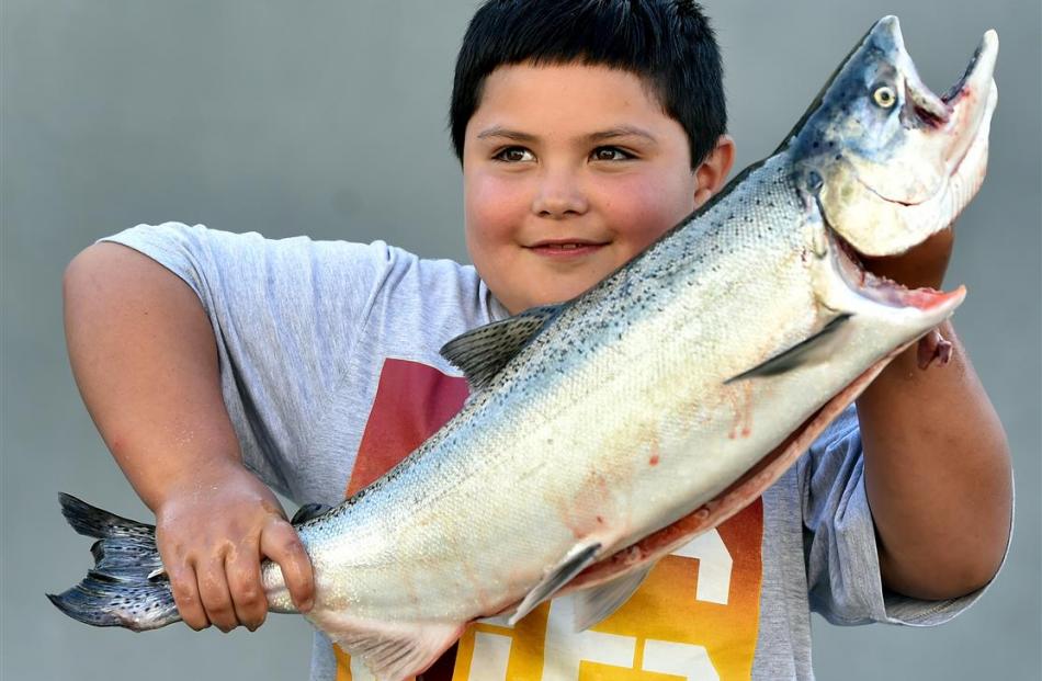 Jahllin Hotene (8), of Dunedin, admires a 4.2kg salmon, one of the largest caught during the...