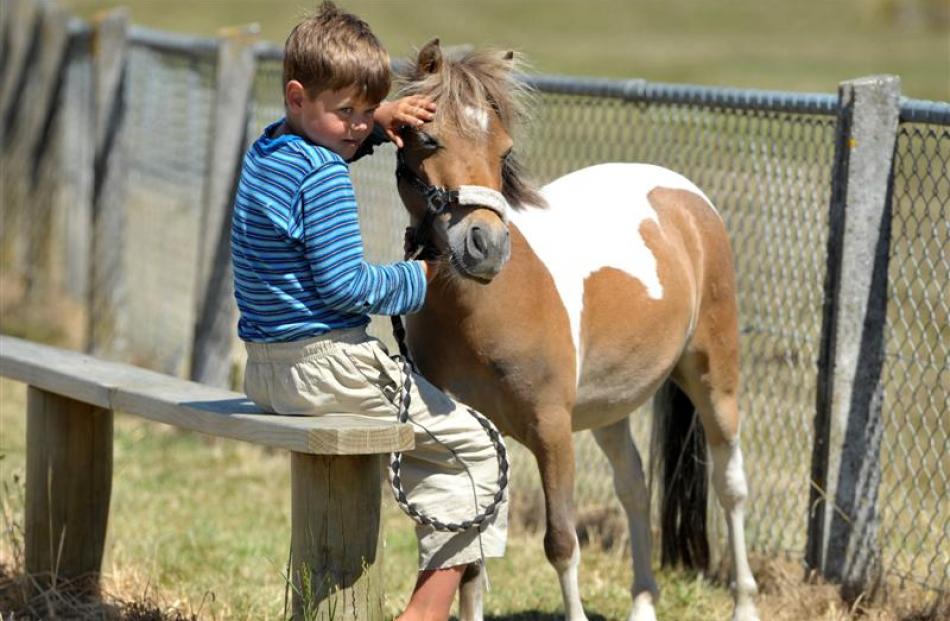 Josh Washington  (8), of Waldronville, with miniature horse ''Lad'' after their show event was...