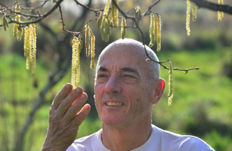 Karitane organic gardener Andy Barratt with one of his hazelnut trees. Photo by Peter McIntosh.