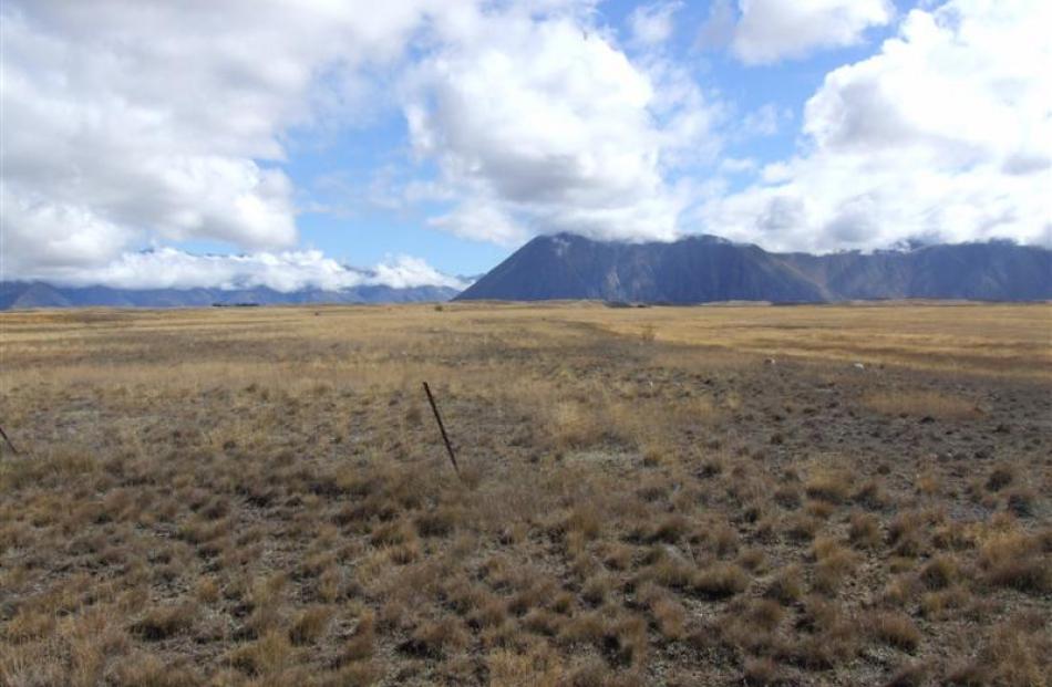 Land earmarked for irrigation and dairy development at Ohau Downs near Omarama.