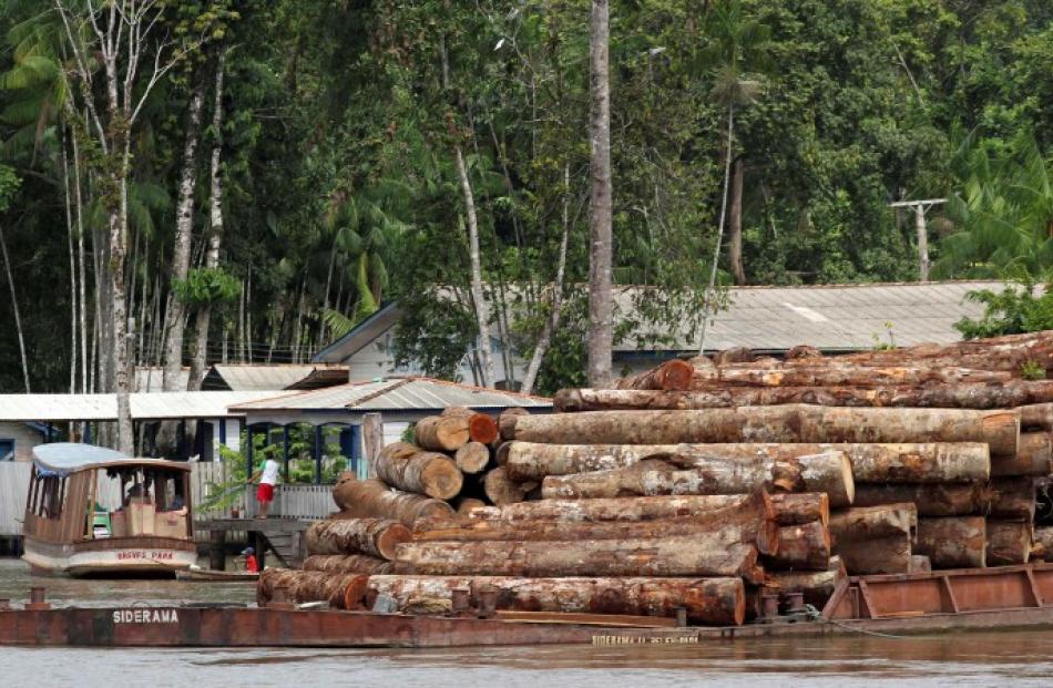 Logs cut from the Amazon rainforest are transported by barge to a shipping port, just off Marajo...