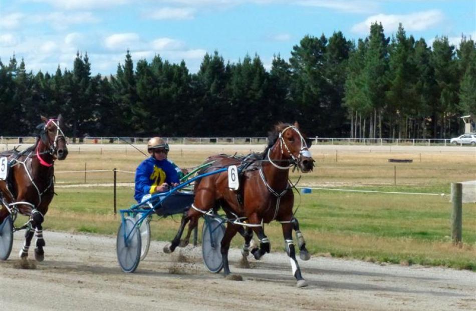 Matthew Williamson guides Pembrook's Delight to victory in the $10,000 mares feature at Roxburgh...