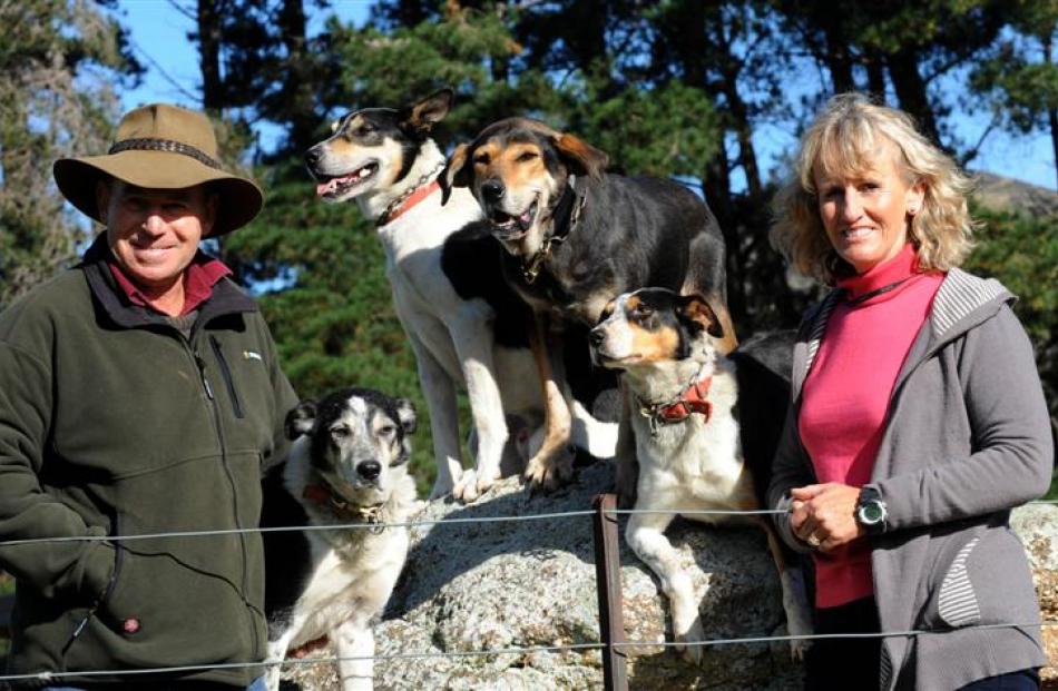 Maurice and Annie Flood with their four dogs which qualified for the South Island sheep dog trial...