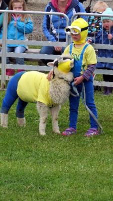 Minions Annika Buhre (3), of Edendale, and Snowy the lamb won the pets and owners fancy dress...