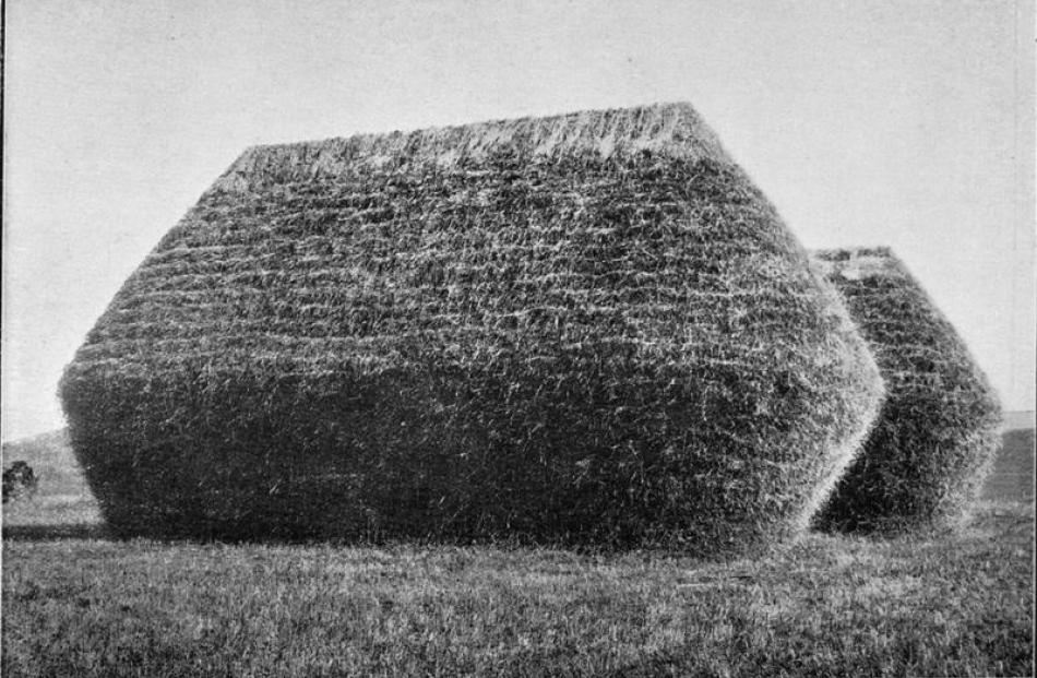 Model grain stacks built by Mr W. M. Matches at Totara, North Otago. - Otago Witness, 25.12.1912