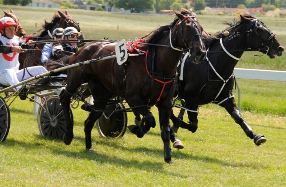 Motu Speedy Star (no 5, Brad Williamson) wins the Waimate Cup yesterday from Malak Uswaad.