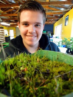 New growth . . . YouthGrow worker Hunter Miller (17) prepares another plant for the nursery.