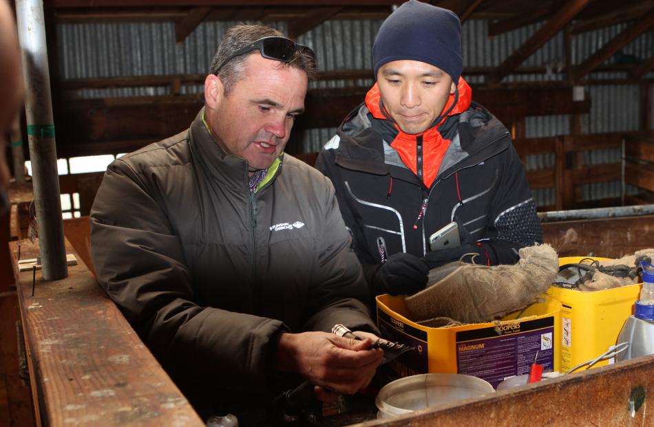 New Zealand Merino Co area manager Andrew McNeill explains how a handpiece works to J.H. Chang, a...