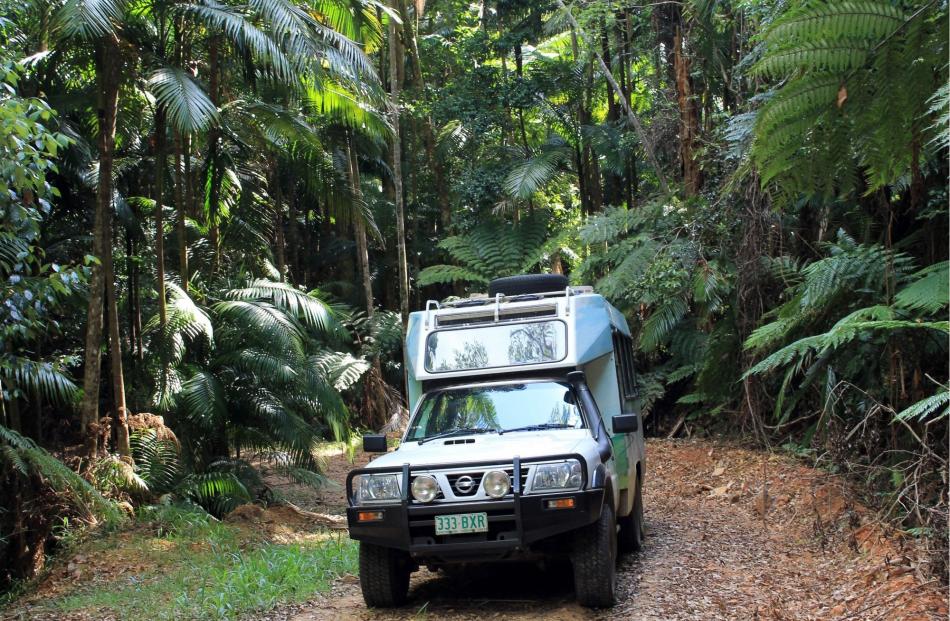Offbeat Tours' eco-trips take you for a leisurely, entrancing taste of Conondale National Park...