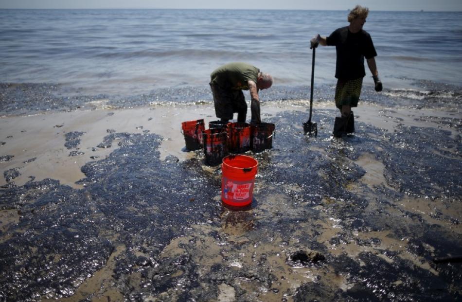 olunteers carry buckets of oil from an oil slick along the coast of Refugio State Beach in Goleta...
