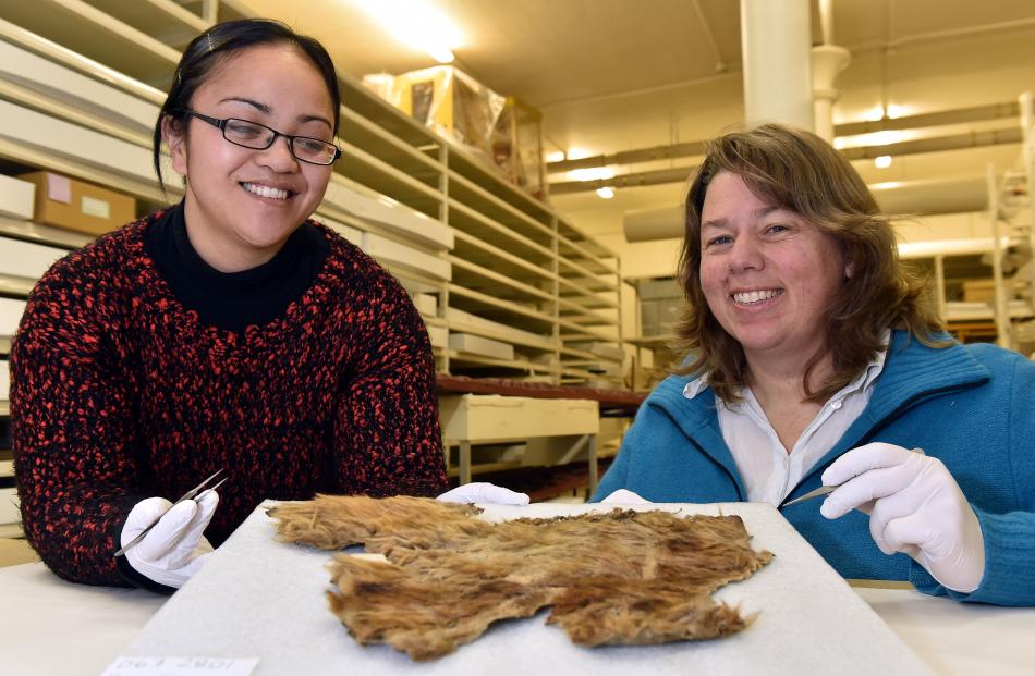 Otago Museum Maori curator Migoto Eria (left) and Dunedin Landcare Research scientist Dr...