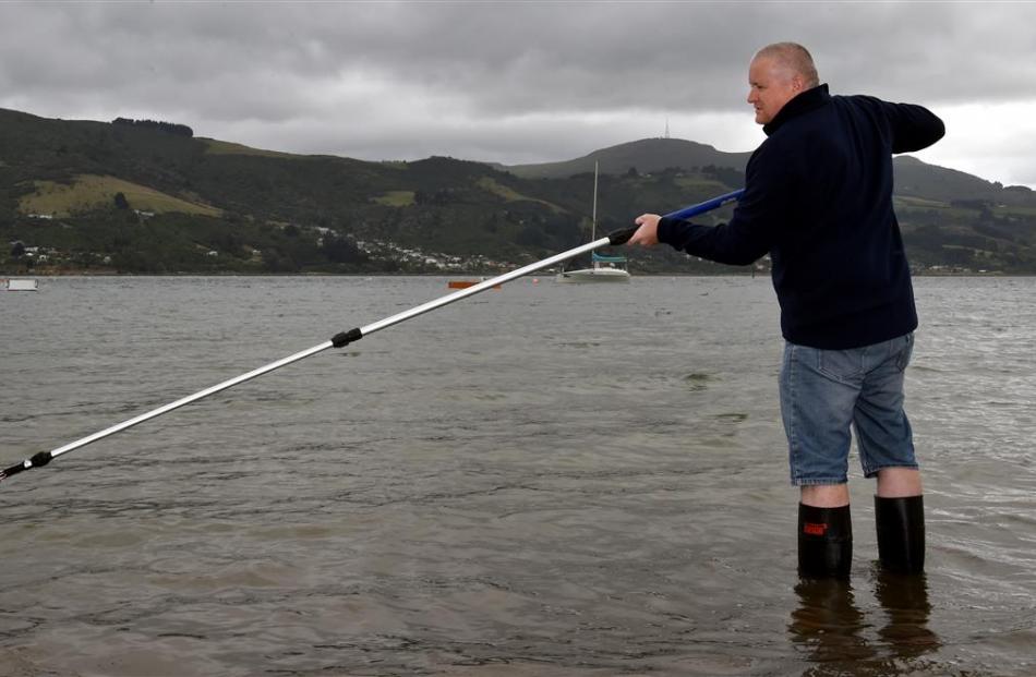 Otago Regional Council environmental officer Mike Cummings takes a water sample at Macandrew Bay...