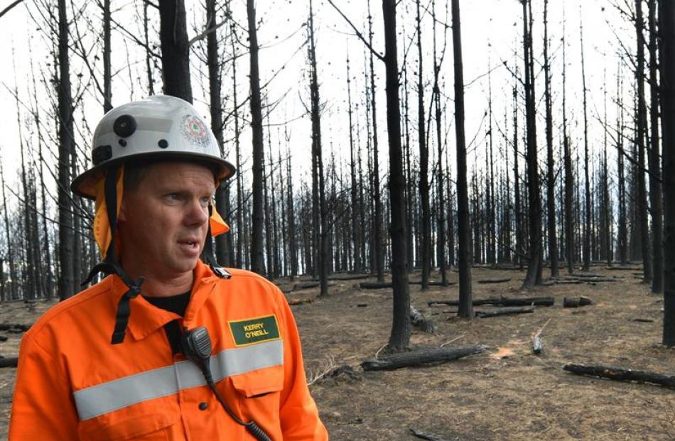 Otago Rural Fire Authority deputy principal rural fire officer Kerry O'Neill surveys the damage...