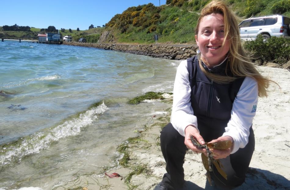 Our Seas Our Future co-ordinator Suzanne Burns will be leading the group's new Adopt a Coast...