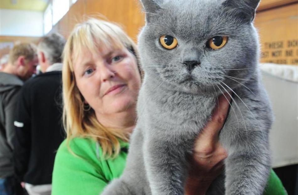 Considerable Curiosity Surrounds 79 Exceptional Cats Otago Daily