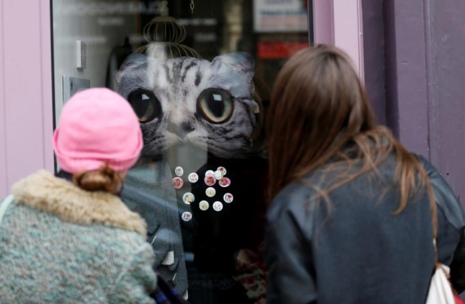 Pedestrians look at a window display at Lady Dinah's Cat Emporium in London. Photos: REUTERS...