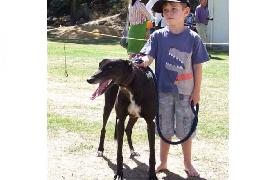 Daniel Burnett (4), of Moa Flat, lined up with his greyhound Nika for the pet parade at the Mt...