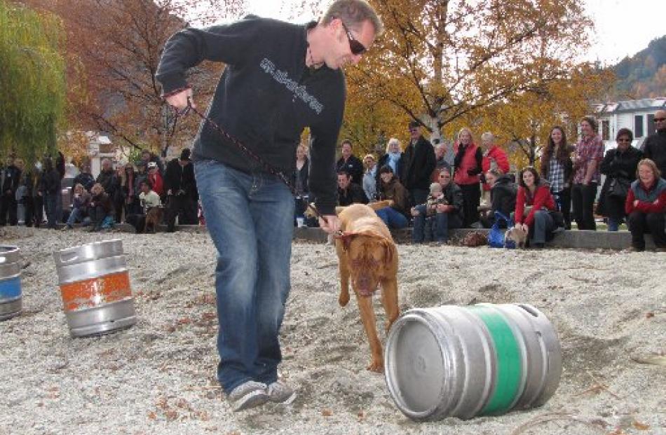 Pete Dodds, of Queenstown, and Marley, a 1-year-old, 40kg Dogue de Bordeaux, delight the  crowd...