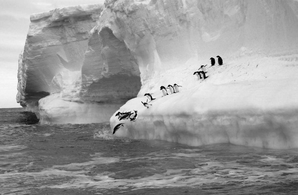Photo by Lloyd Spencer Davis