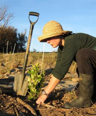 Planting at the sanctuary.