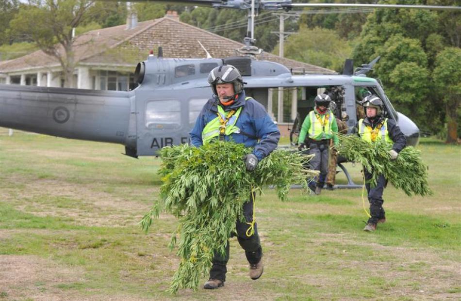 Police officers unload cannabis plants, discovered during Operation Jasmin, from a Royal New...