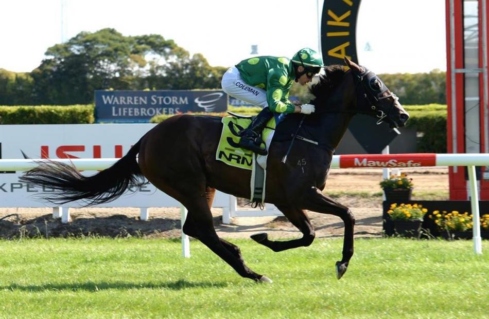 Racehorses Aotearower (pictured) and Sisterhood  have proved as rewarding emotionally as...