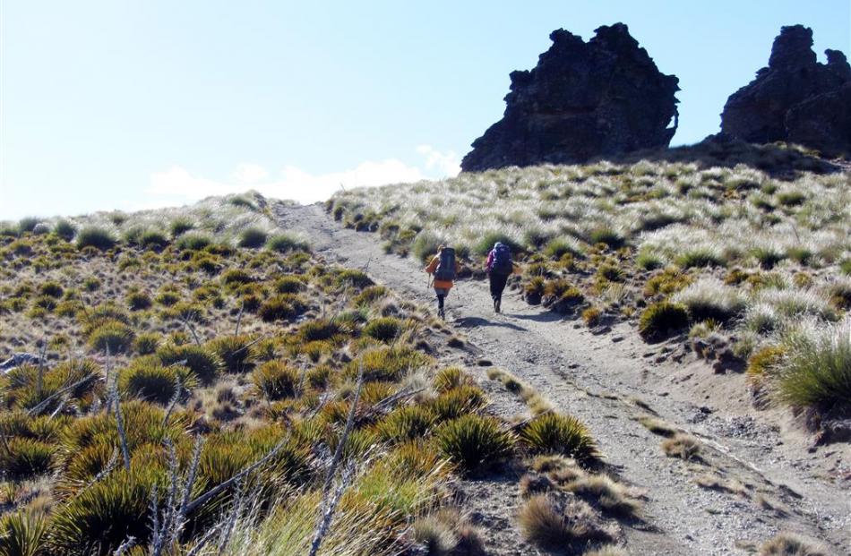 rampers head across the tops on the Cromwell-Cardrona track. Photos by Upper Clutha Tramping Club.