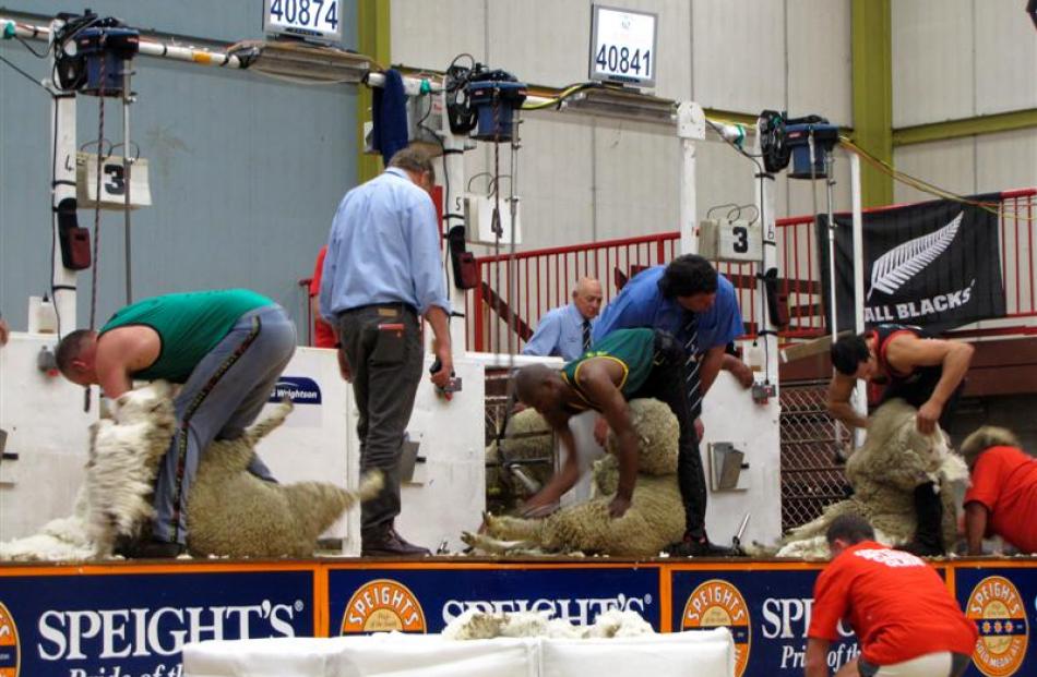 Representing their countries in the Tri-Nations fine wool shearing machine shearing test match in...