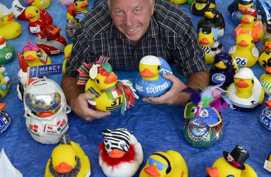 Rotary Club of Dunedin East member Barry Johnston lies among decorated rubber ducks. Photo by...