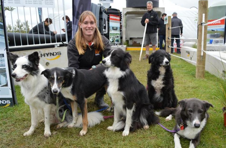 Rotorua woman Chelsea Marriner with five of her trained dogs (from left) Shift, Flash, Spy, Quest...