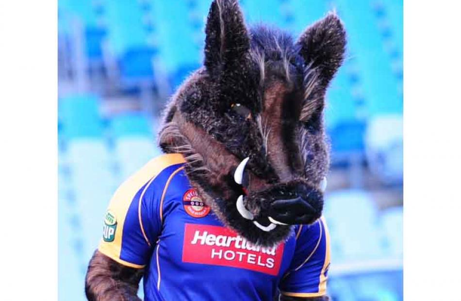 Razor, Otago's new team mascot, makes his debut.