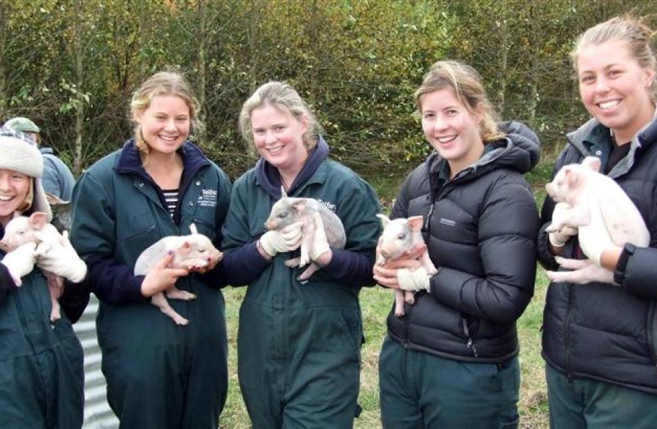 Rural animal technician trainees (from left)  Chloe Sheehan, Lauren Chittock, Caitlin Crack,...
