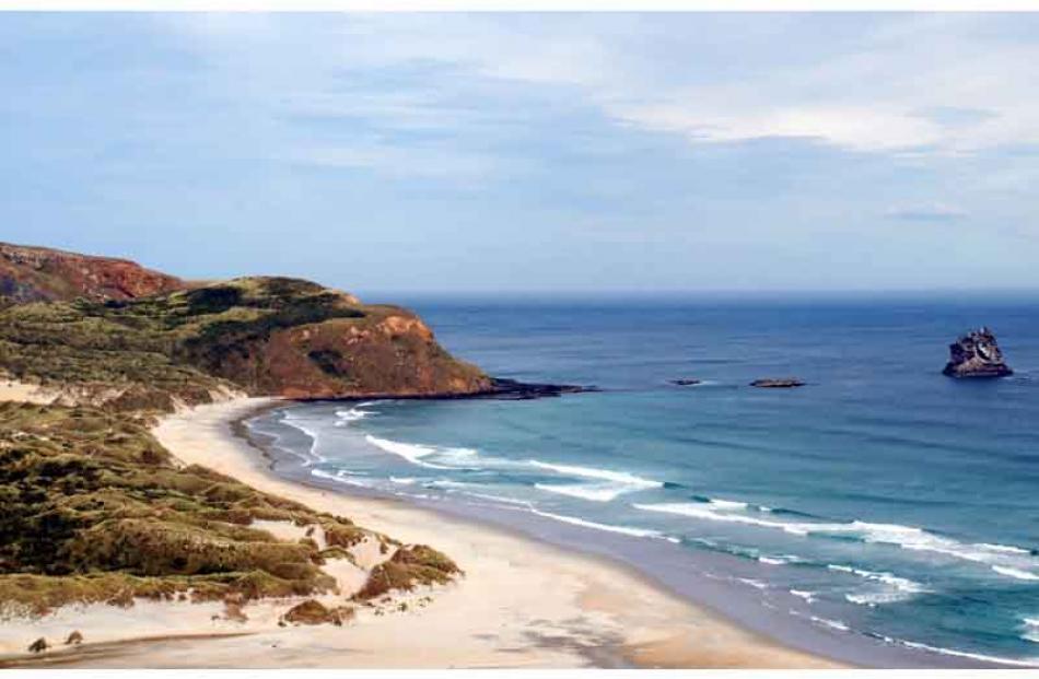 Sandfly Bay, attractive to penguins . . .