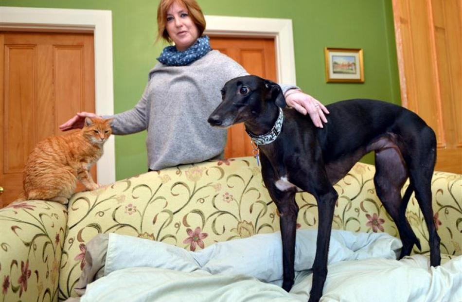 Sarah Tweedale with greyhound Gabbie and Oscar the cat at home in Dunedin this week. Photo by...