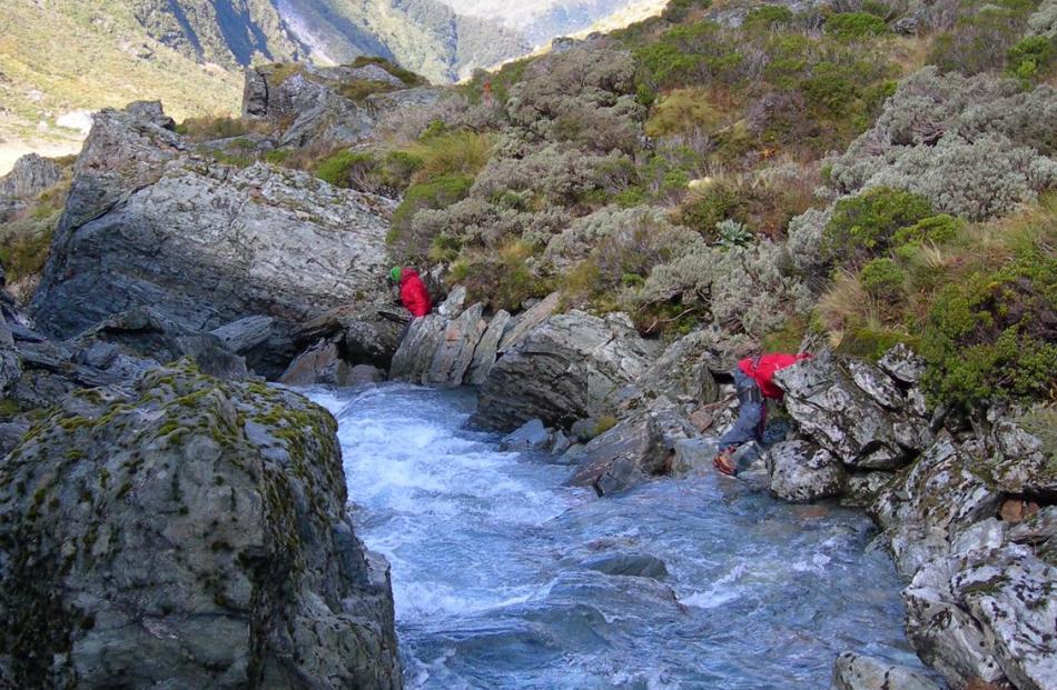 Searchers have been combing the Young River. Photo NZ Police