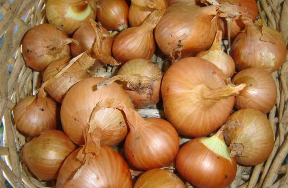 Shallots hold complex flavours that enhance rather than dominate a dish, making onions seem like...