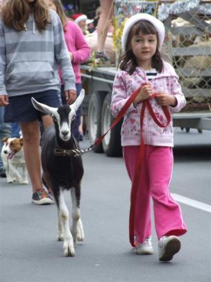 Shannon Burnett (6), of Kauru Hill, leads her goat as part of the North Otago A and P Association...