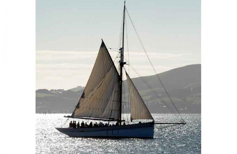 The sailing ship Steadfast sails up Otago Harbour. Photo by Peter McIntosh.
