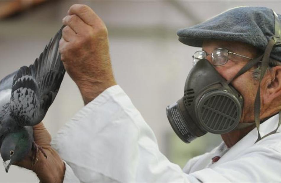 Show judge Lloyd Sansom wears a mask to protect him from airborne baddies that threaten his...