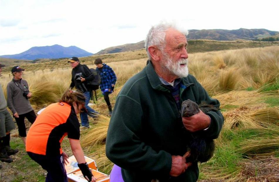 Sir Alan helps relocate birds before the opening of the takahe captive rearing area at the...