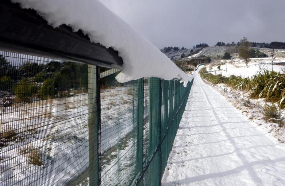 Snow build-up on the fence hood may have compromised the integrity of the fence to allow stoats...