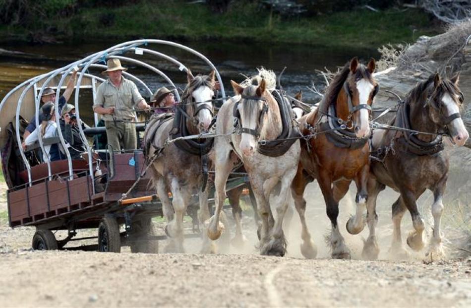 Snow Cleaver, from Southland, urges on his wagon team following the Deep Stream crossing, near...