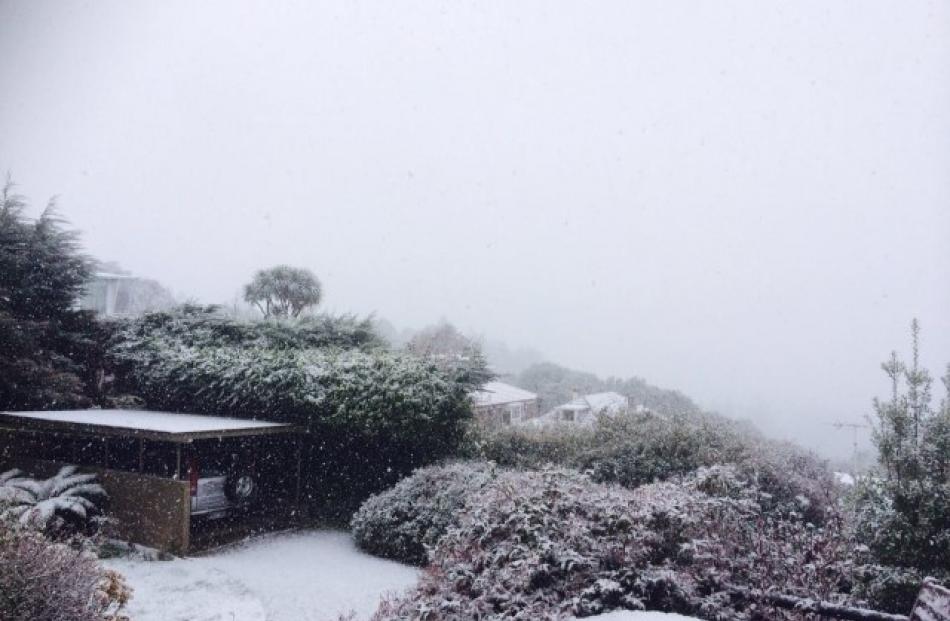 Snow in the Dunedin suburb of Belleknowes this morning. Photo Bridget McArthur